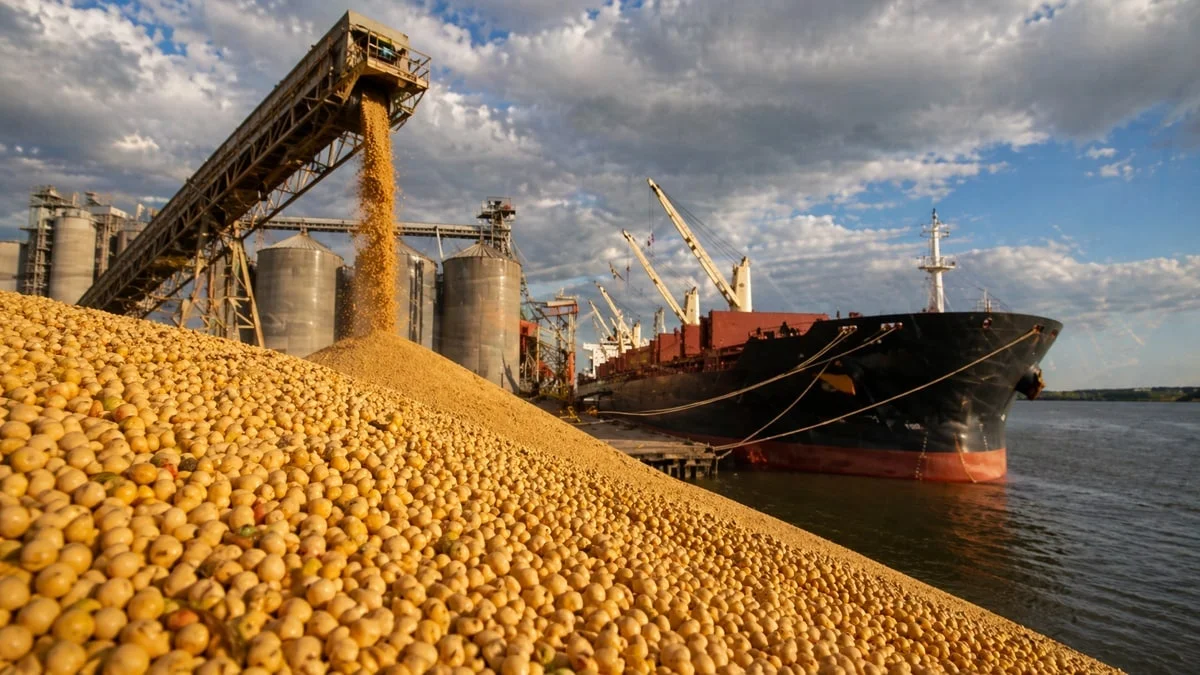 Alerta agroexportadora: Europa detectó harina de soja argentina con el gen HB4 y podría frenar embarques
