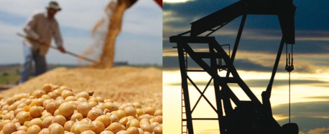 Los futuros de la soja suben por el alza del crudo y mejores márgenes de molienda