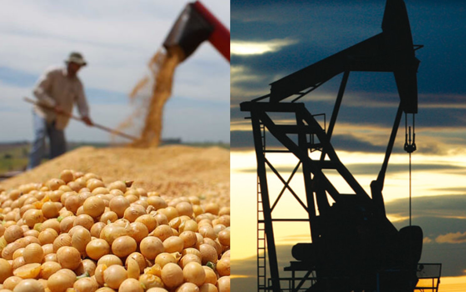 Los futuros de la soja suben por el alza del crudo y mejores márgenes de molienda