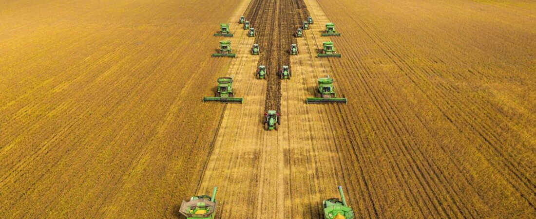 USDA reporta nueva venta de soja y refuerza señales de demanda internacional mientras el mercado monitorea la campaña estadounidense
