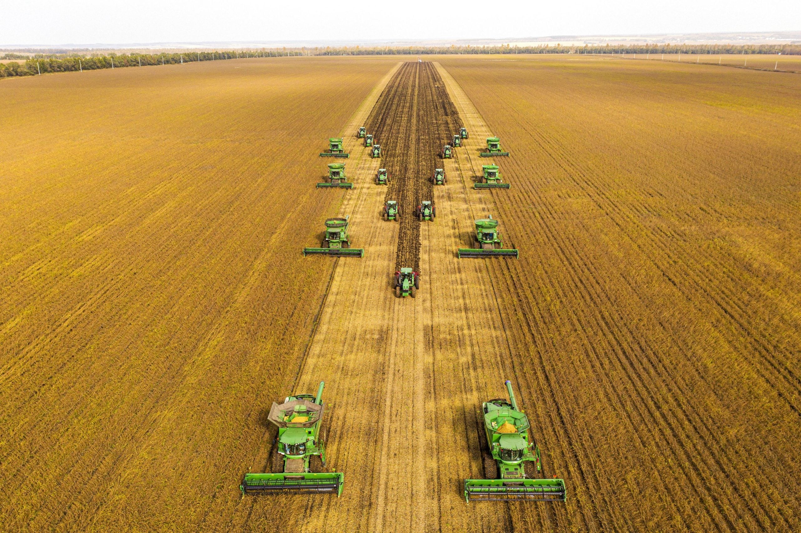 USDA reporta nueva venta de soja y refuerza señales de demanda internacional mientras el mercado monitorea la campaña estadounidense