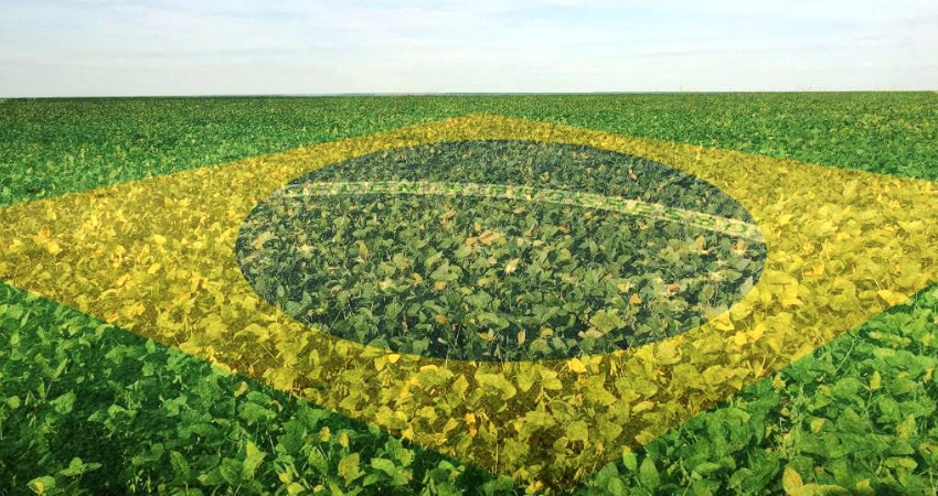 Brasil apunta a cosecha récord de soja en 2025/26 con 181 millones de toneladas