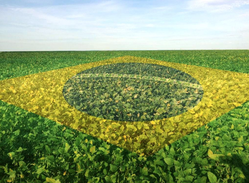 Brasil apunta a cosecha récord de soja en 2025/26 con 181 millones de toneladas