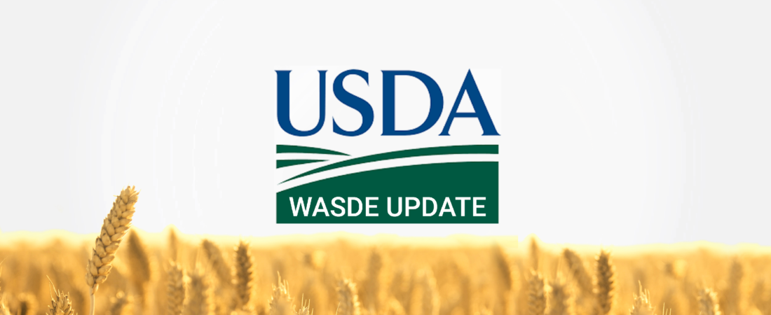 USDA proyecta menor oferta de trigo y maíz en 2026/27 mientras la soja consolida su expansión en el mercado agrícola global