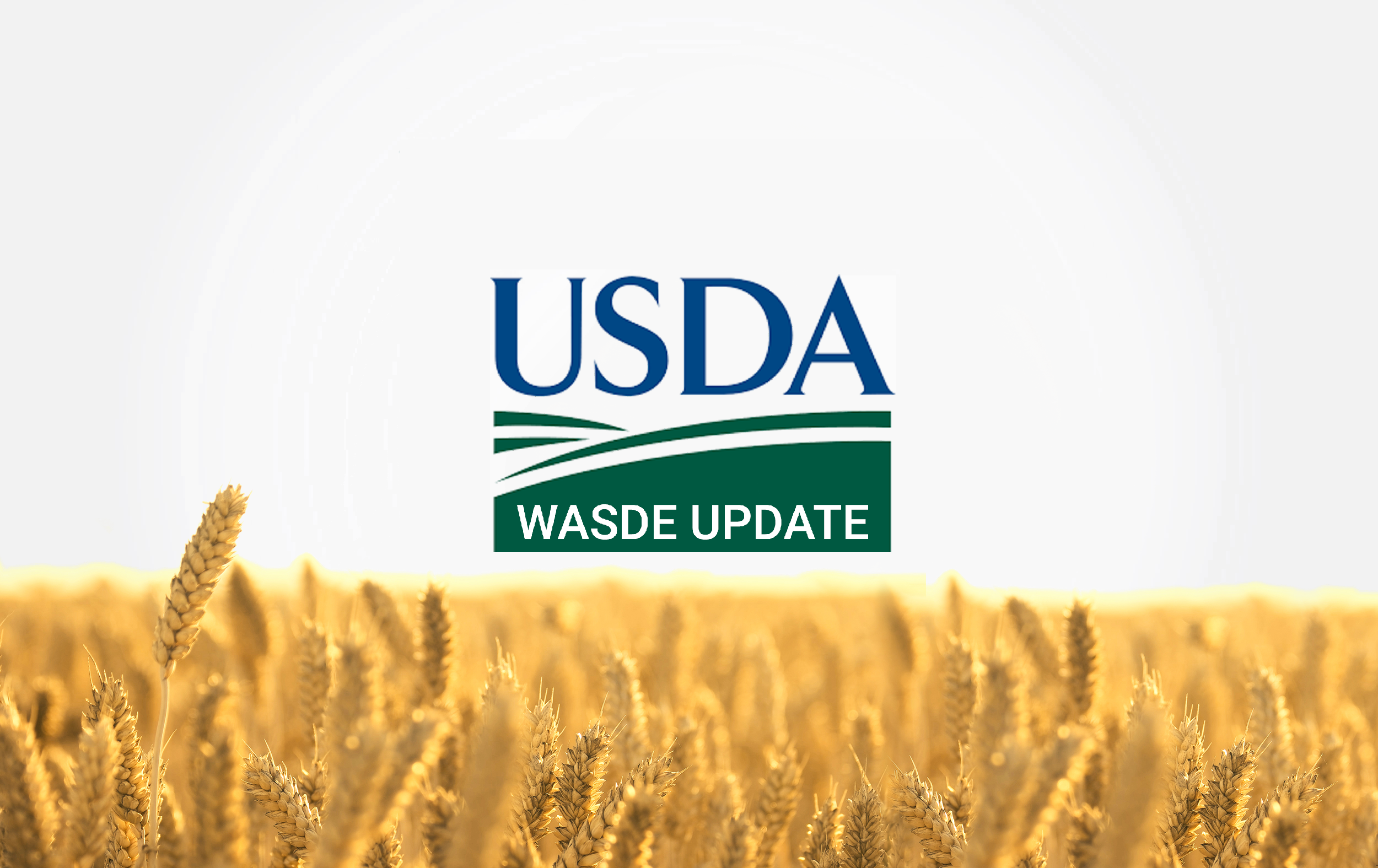 USDA proyecta menor oferta de trigo y maíz en 2026/27 mientras la soja consolida su expansión en el mercado agrícola global