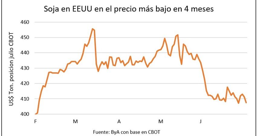 Granos caen en la previa del informe del USDA entre expectativas de mayor área y stocks elevados en EE.UU.