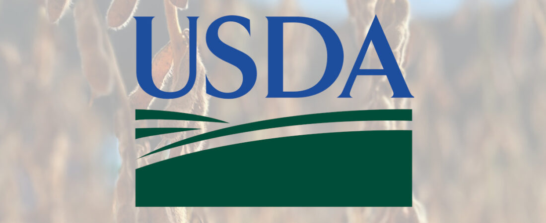 USDA reduce la calificación de la soja en EE.UU. mientras el maíz mantiene su condición estable