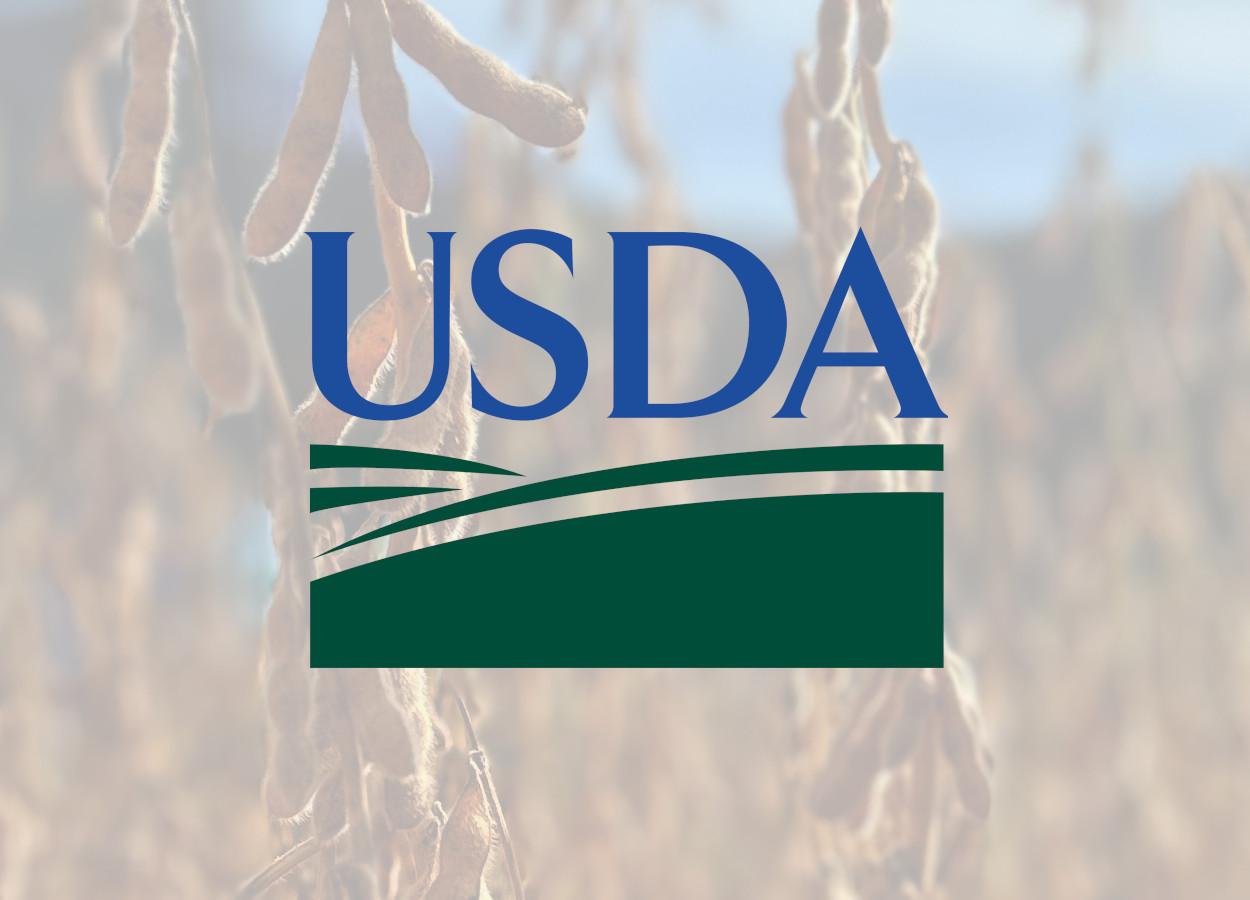 USDA reduce la calificación de la soja en EE.UU. mientras el maíz mantiene su condición estable
